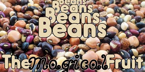 Beans and Gut Health: How the Magical Fruit Supports a Healthy Digestive System